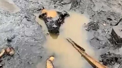 Oil hole