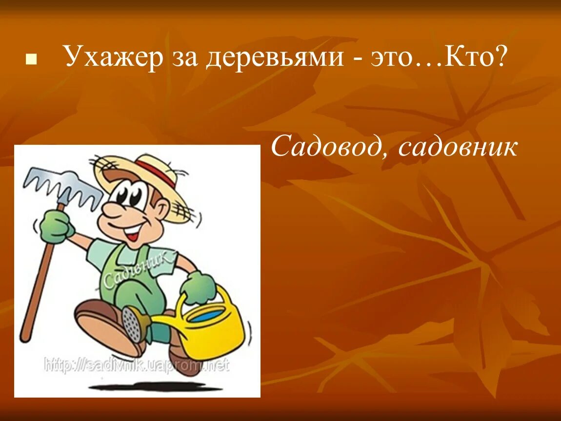 Какую работу выполняют люди профессии садовод. Сообщение о профессии садовник. Профессия садовник для детей. Садовод профессия доклад. Доклад садоводов.