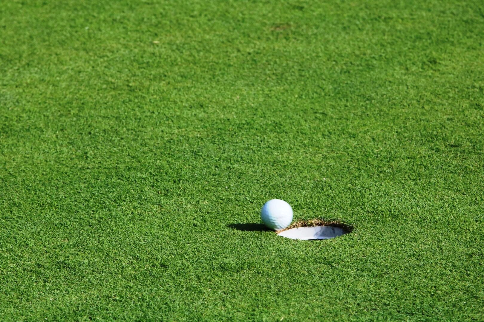 Мячик в лунку игра. Закати мяч в лунку. Поле для игры в гольф. Мячик в лунку. Игра мячик в лунку в комнате.