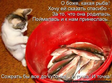 Чтобы рыбу съесть надо