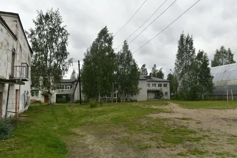 Форека муезерский