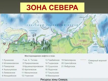 Зона севера это