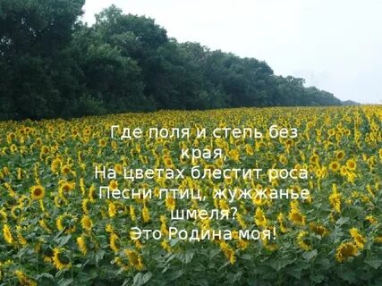 На поле роса песня