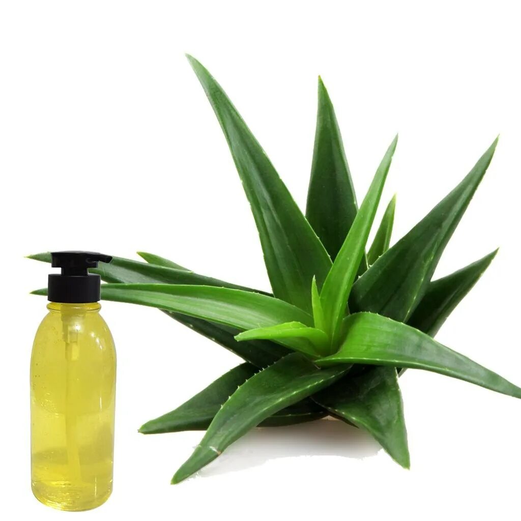 Алоэ для головы. Cymewn Aloe Oil.