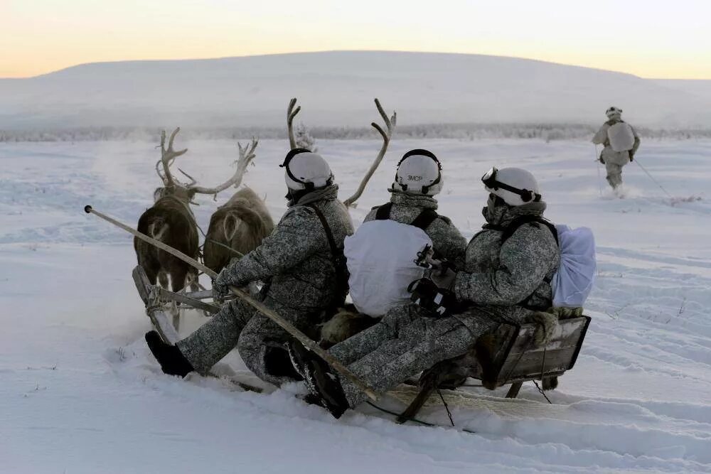 Крайний север. Военнослужащие крайнего севера. Крайний север россии. Камуфляж ратник арктика. Военнослужащие крайнего севера.