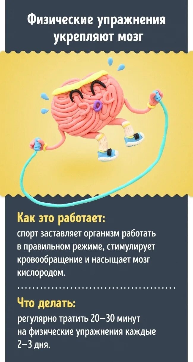 Как ускорить мозги
