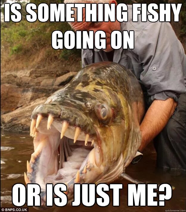 Dwarf shark. акула инфографика.