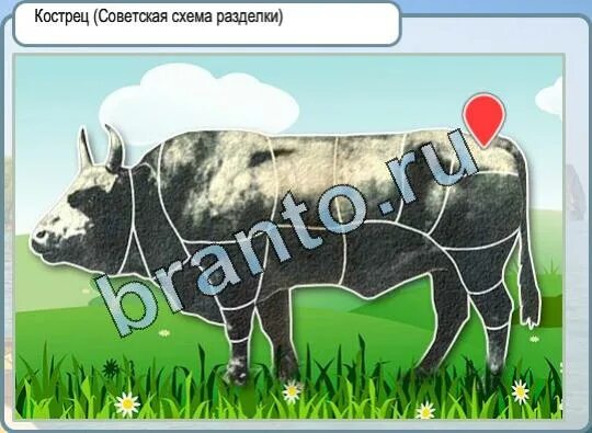 Горячо холодно высоко низко. Кострец корова. игра горячо холодно схема. оковалки. горячо холодно загадка.