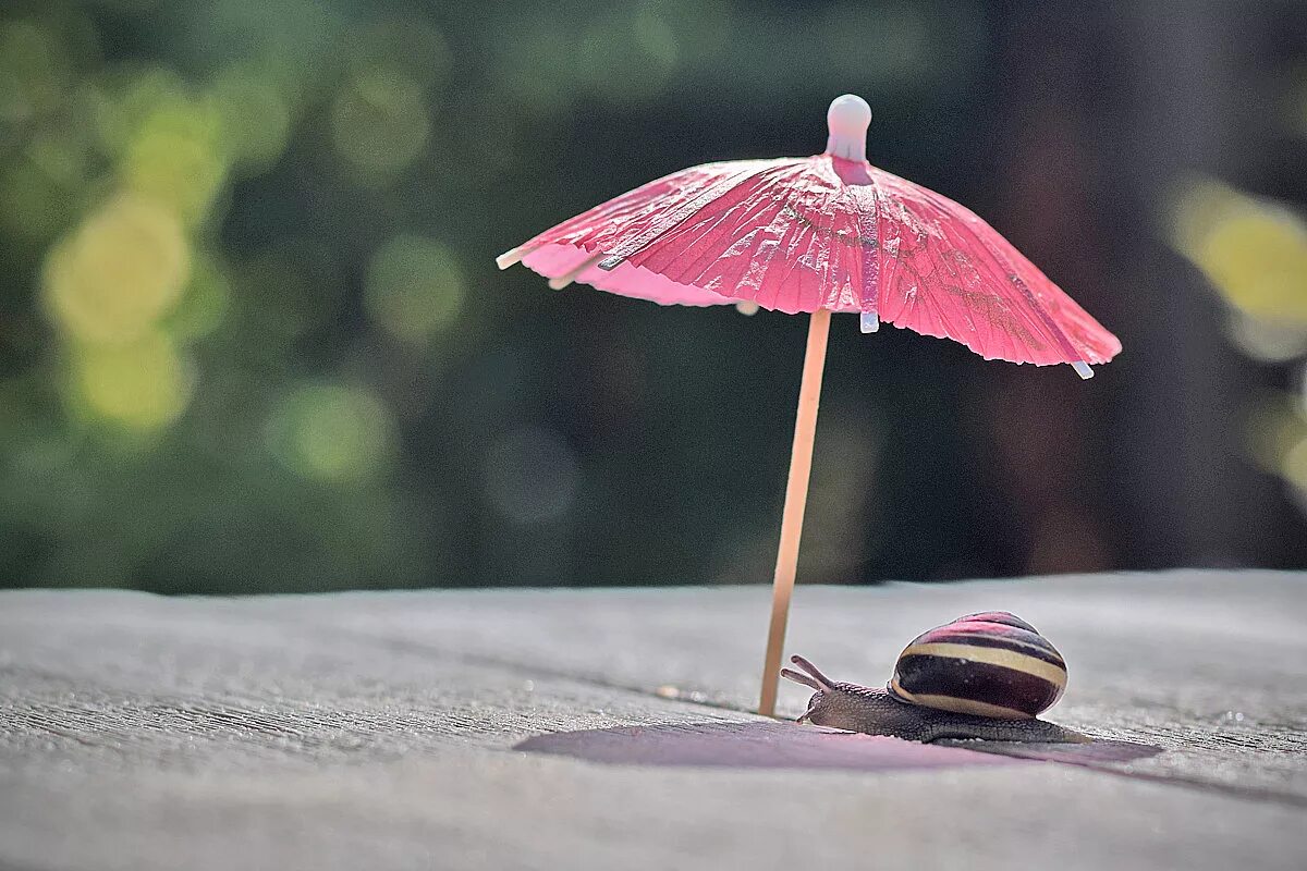 Человек под зонтом. Страхование под зонтиком. Зонт под дождем. Академия амбрелла арт. Девочка с зонтиком.