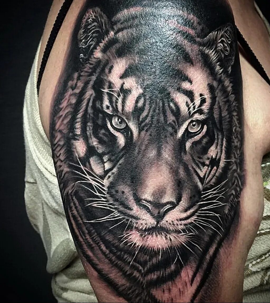 тату тигр оскал на предплечье. тату тигр на плече. тату тигр. что обозначает тату тигр. тигр оскал реализм.