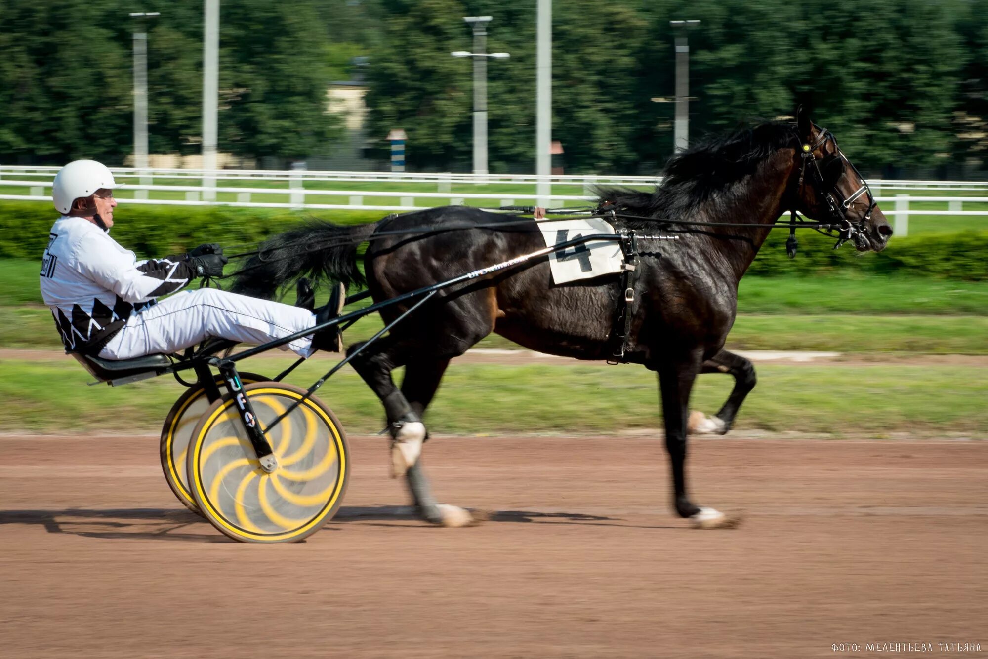 Бега на цми 2021. Цми чебоксары. Гайнуллин рамис ипподром. Ипподром вудбайн. Бега рысаков цми.