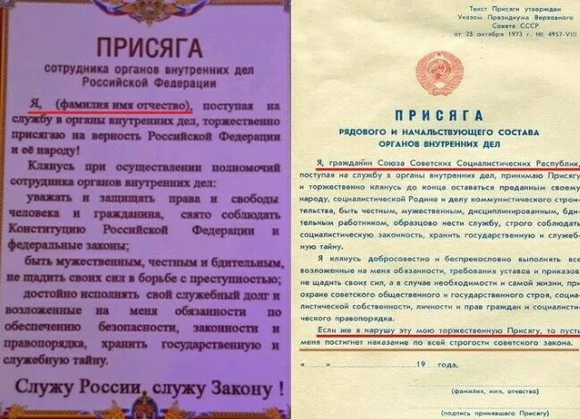 Законопроект о прекращении гражданства за нарушение присяги