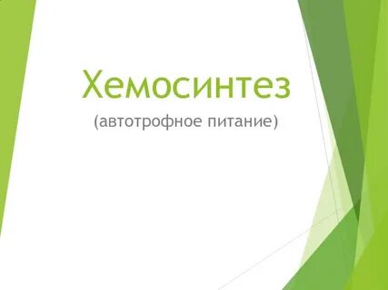 Хемосинтез питание