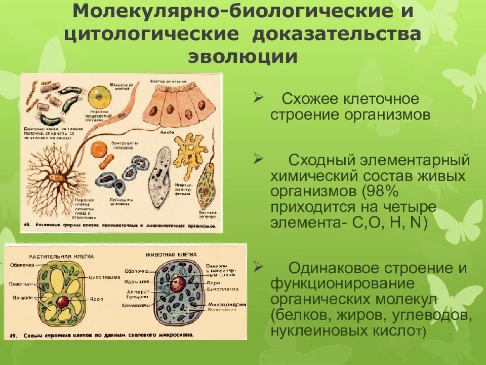 Клеточный состав живых организмов. Молекулярно-биологические доказательства эволюции. Молекулярно-генетические доказательства эволюции примеры таблица. Цитология и молекулярная биология доказательства эволюции.