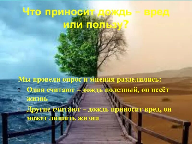 Польза дождя. Какую пользу и вред приносит дождь. Чем полезен дождь. Почему полезен дождь.