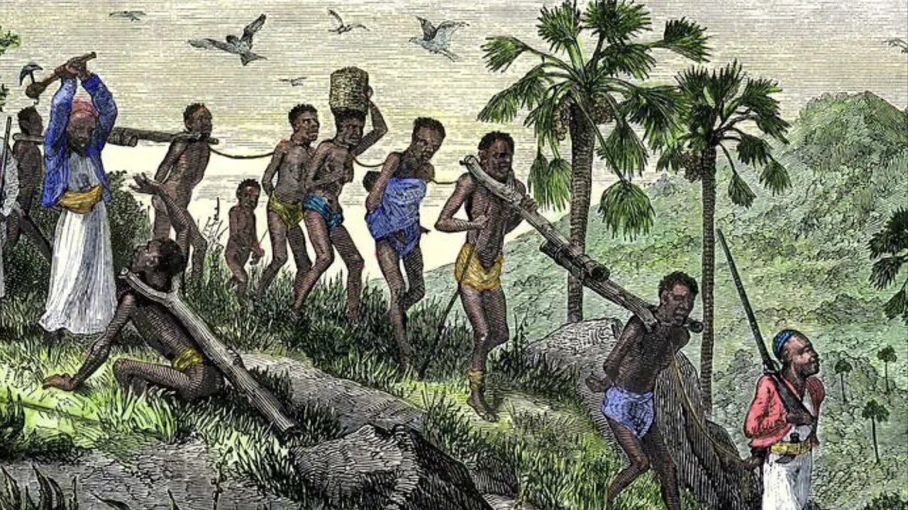 Плантации рабыни. Работорговля в Африке 19 век. Работорговля 16 век. Колонизация Африки рабы. Колонисты в Африке.