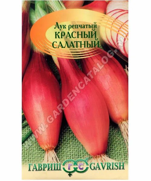Красный салатный белозерский лук-севок. Лук на зелень репчатый красный салатный,. Ялтинский белый. Лук репчатый красный салатный. Красный салатный.