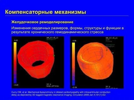 Компенсаторная функция