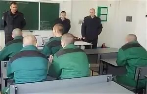 Колонии 2020