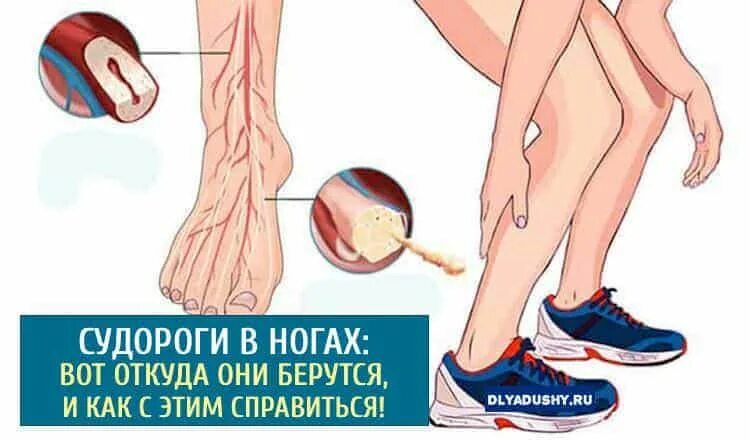 Сводит икры по ночам