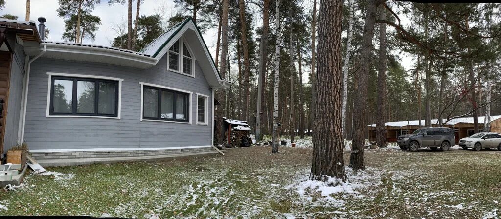 Сосновый бор (парк, новосибирск). Аренда леса новосибирск. Домик в лесу новосибирск. Сибиряк беседки бердск. Дом с соснами на участке.