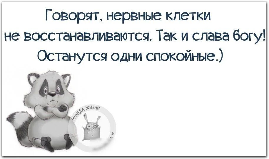 Нервная система прикол. Цитаты про нервную систему смешные. Нервные клетки не восстанавливаются. Смешные цитаты со смыслом. Нервные клетки не восстанавливаются прикол.