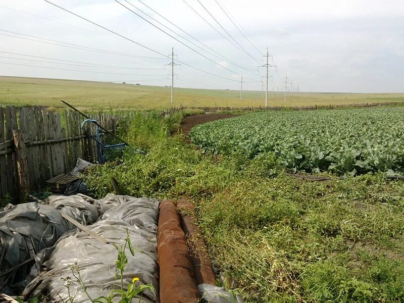 Обязанности собственника. Изъятие земельного участка для гос и муниципальных нужд. Обязанности собственника. Обязанности правообладателей земельных участков. Права собственников земельных участков.