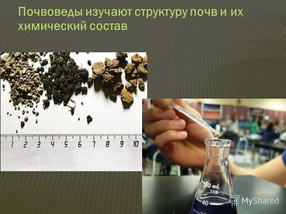Состав почвы. Почвенный профиль состоит из. Опыт с почвой и водой. Из чего состоит почва. Изучение состава почвы.