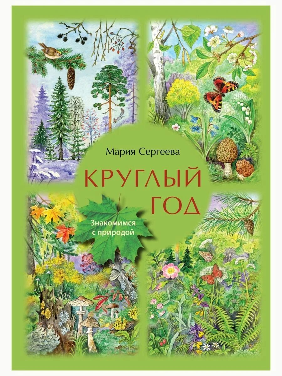 Круглый год русский. Книга круглый год. Сборник для детей круглый год. Детская книга круглый год.