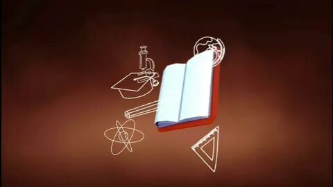 Видео футажи школа