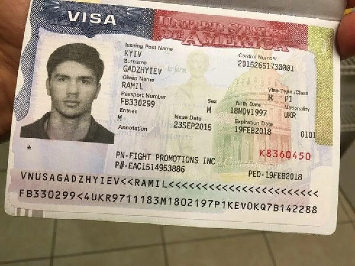 Где можно получить визу в сша. Американская виза. виза в америку. туристическая виза в сша. американская туристическая виза.
