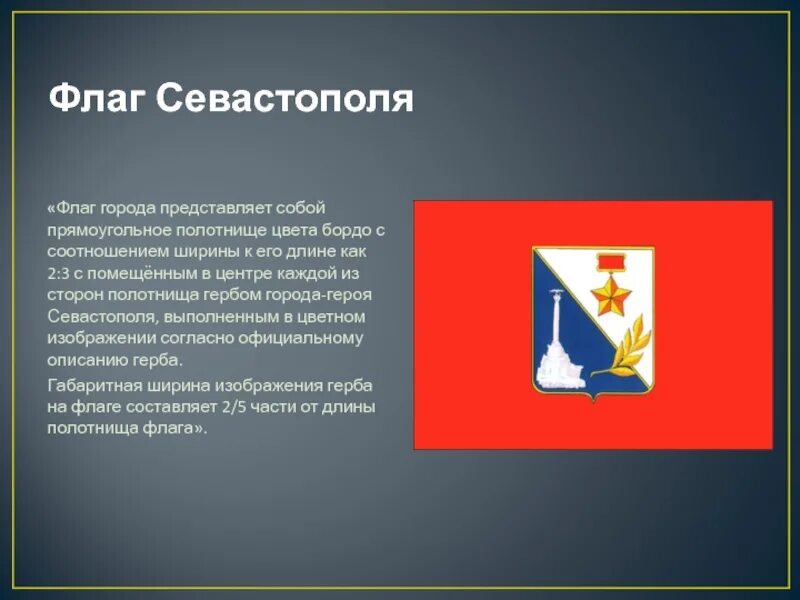 Мегафлаг Флаг субъекта РФ Севастополь купить в интернет магазине