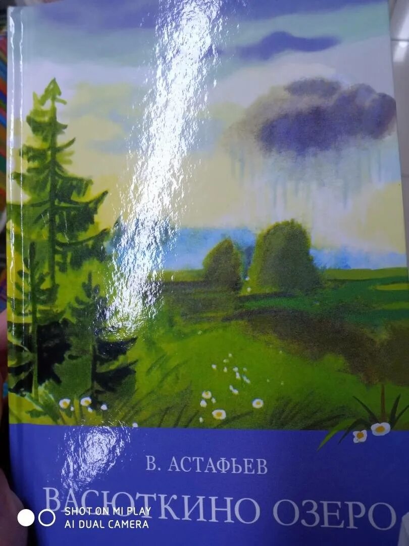 Астафьев васюткино озеро план рассказа 5 класс. Рисунки по рассказу Васюткино озеро лёгкие.