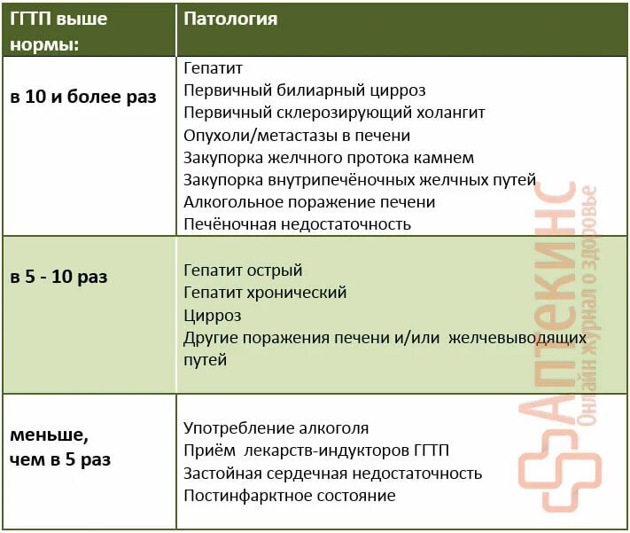 Повышен ггт в крови у мужчин