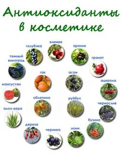 Антиоксиданты в косметике