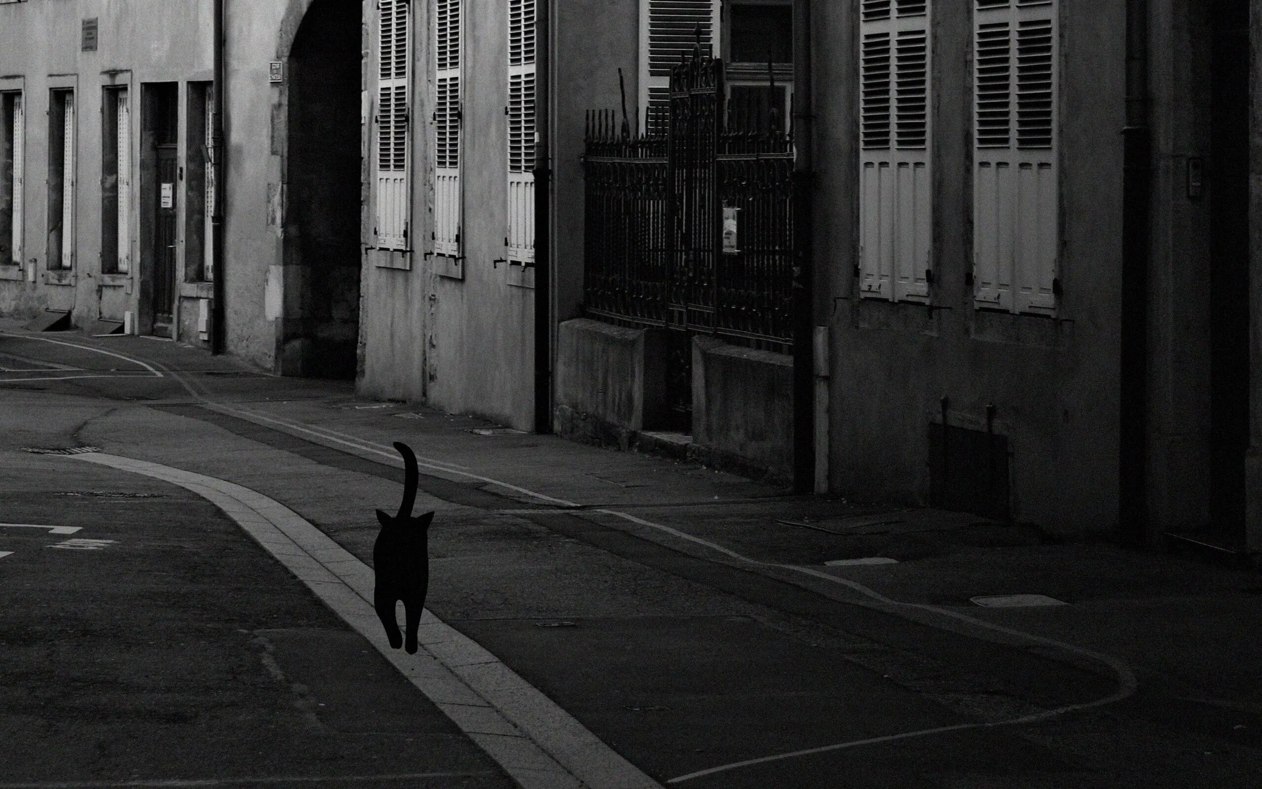 Какой черный на улице. Черный кот на улице. Черная кошка на улице. Черно белая улица. Темный переулок.