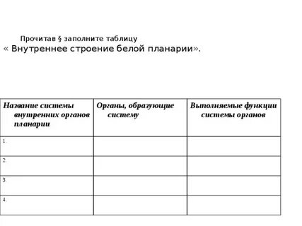 Заполните таблицу системы органов белой планарии