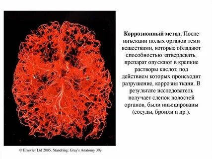 Сосудистая метод