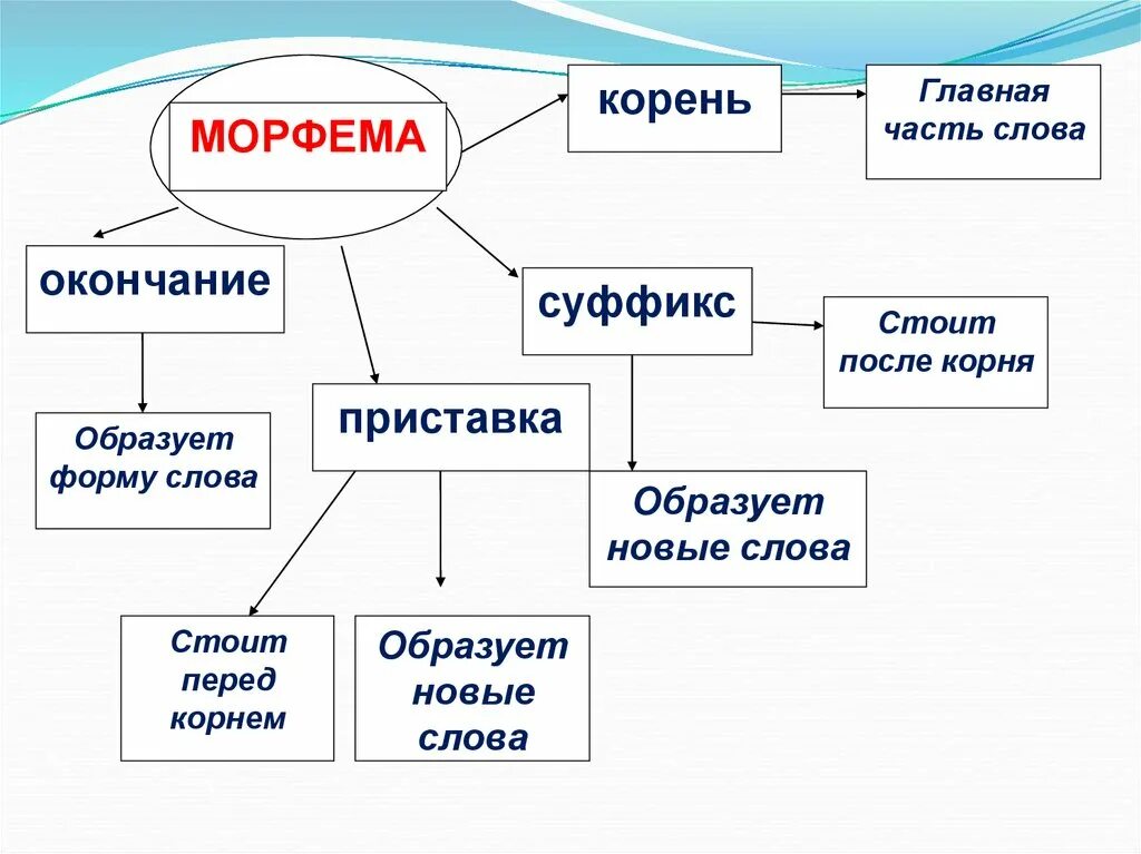 Морфема после корня. Морфема образующая формы слова. Кластер на тему морфема. Морфема перед корнем. Приставка образует новые слова.