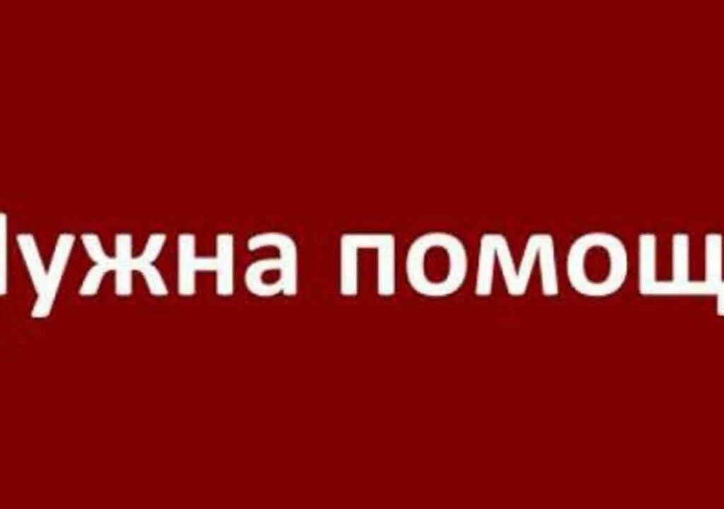 Требуется поддержка