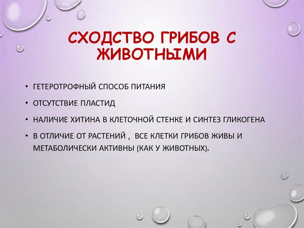 Грибы в отличие от животных ответ. Грибы сходство с животными.