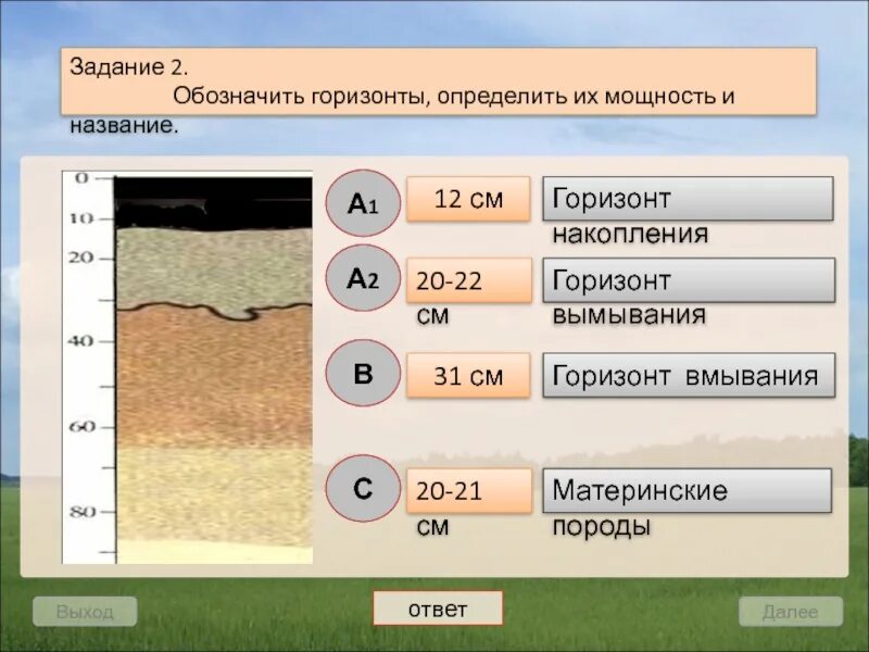 К материнской породе примыкает горизонт. Материнская порода. Горизонт вымывания и вмывания почвы. Горизонт накопления. Горизонт вымывания обозначение.