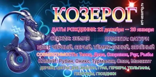 Прогноз гороскоп на 2025 козерог женщина. Прогноз гороскоп на 2025 козерог женщина