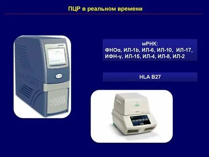 Пцр в реальном времени