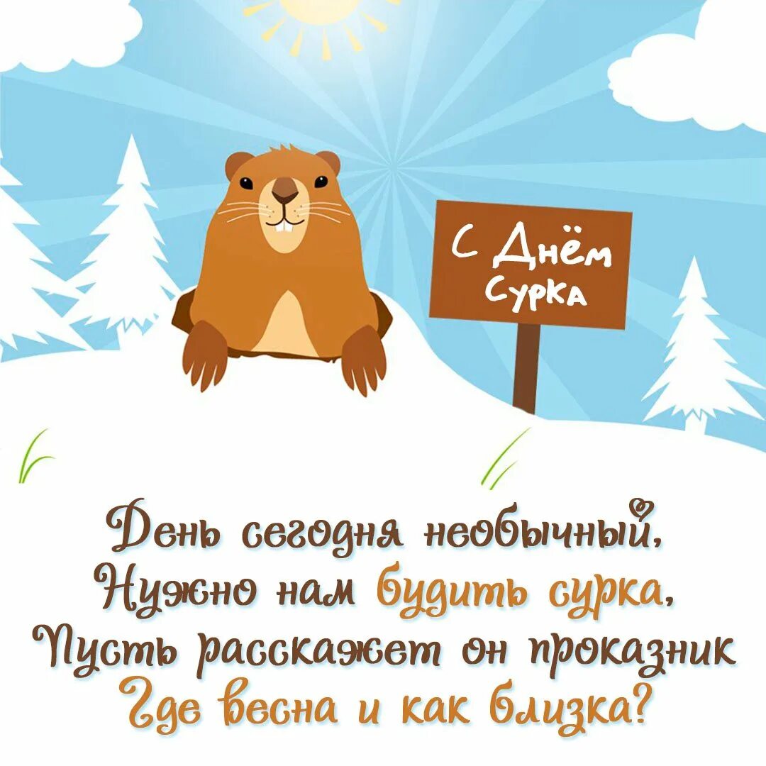 День сурка что это значит выражение. День сурка. день сурка видеокассета.