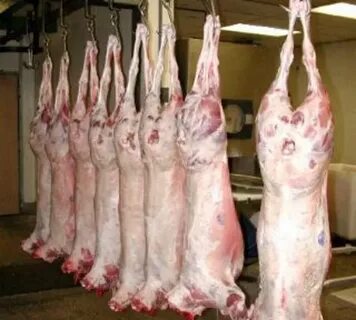 Продать мясо овцы