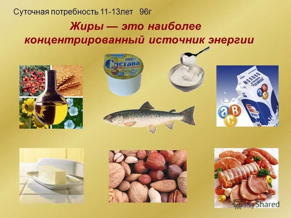 Отметь продукты растительного происхождения. Источники животных жиров. Жиры в продуктах. Пища растительного и животного происхождения.