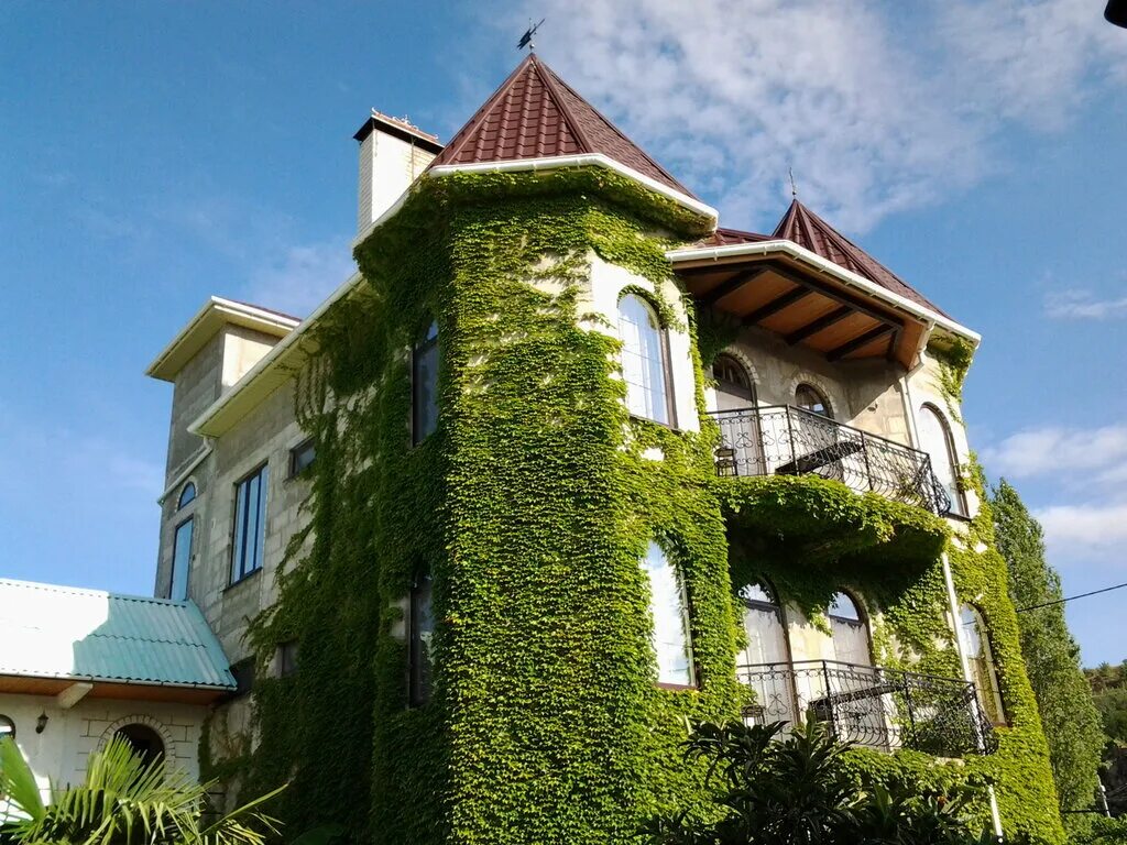 Замок в солнечногорске. Замок в солнечногорске. Алустон алушта. Замок в солнечногорске. Замок курск ресторан.