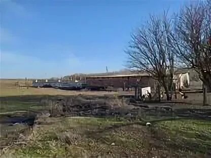 Хутор кавказский