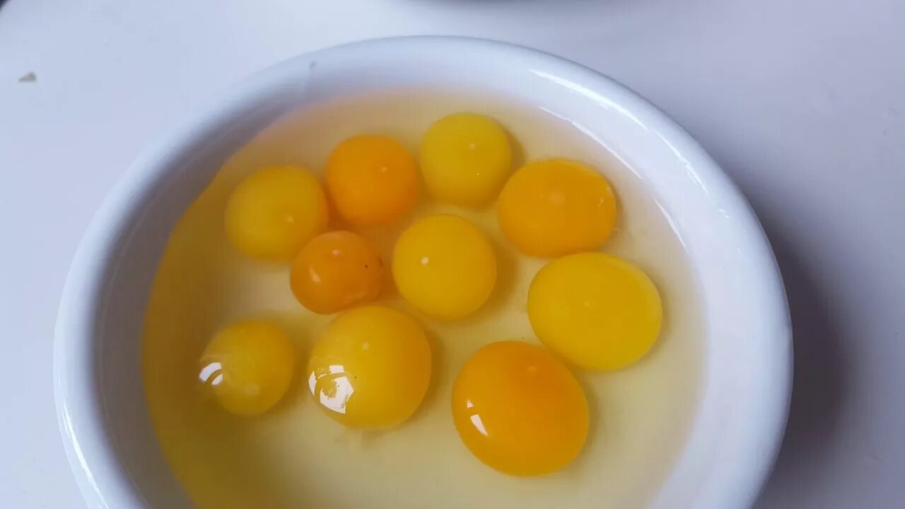 Оплодотворенное ли яйцо. Оплодотворенное куриное яйцо. Желток оплодотворённого яйца. Оплодотворенное яйцо курицы.